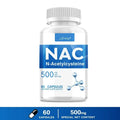 NAC - N-Acetylcysteine - Respiratory Health, Immune Health, Promote Liver and Kidney DetoxificationSupplements